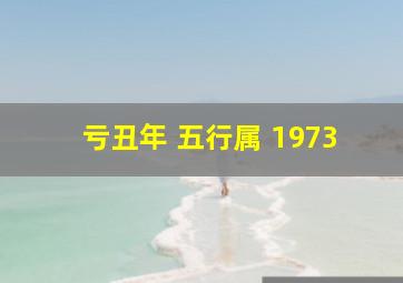 亏丑年 五行属 1973